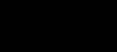 Atlantic White-sided Dolphin